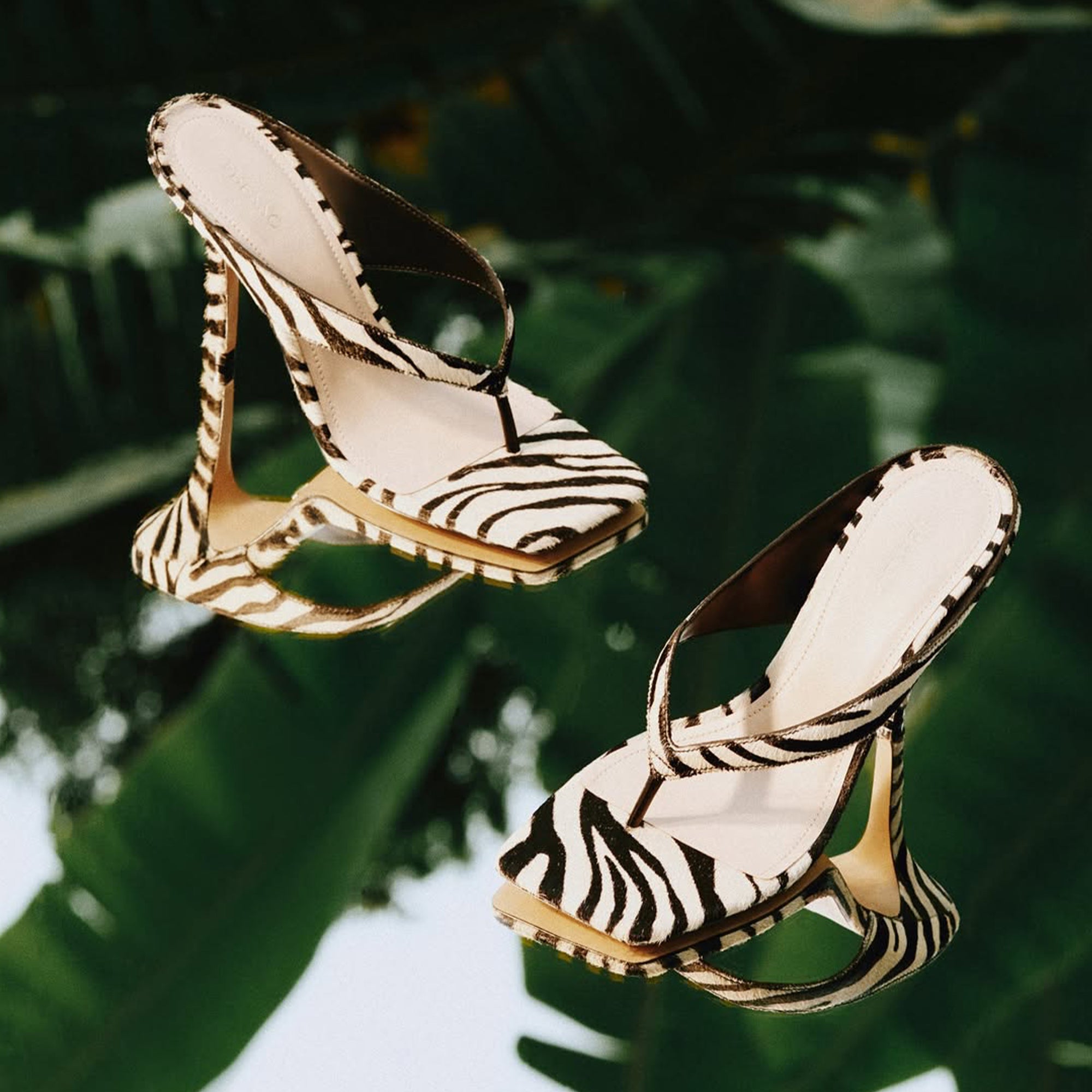 Zebra Kitten Heeled Sandals Thong Slide Shoes